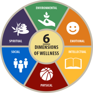 6 Dimensions of Wellness